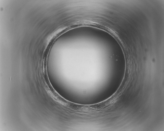 X0000055510987200508262136