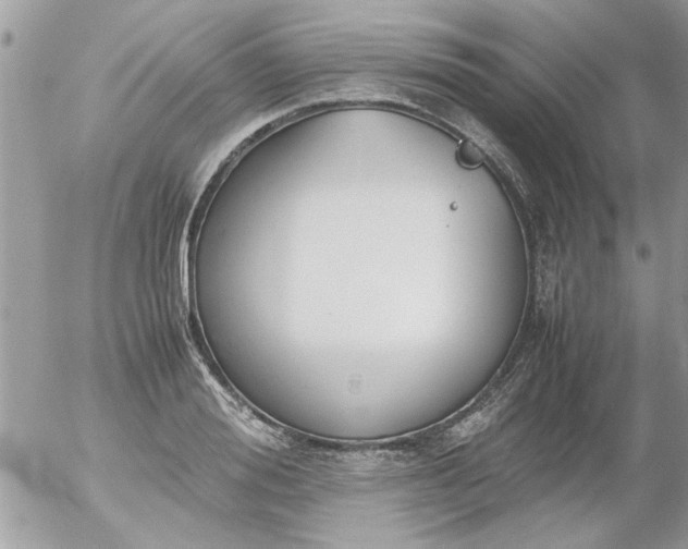 X0000055510988200508262136