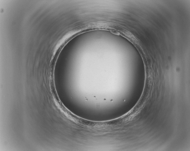 X0000055510989200508262136