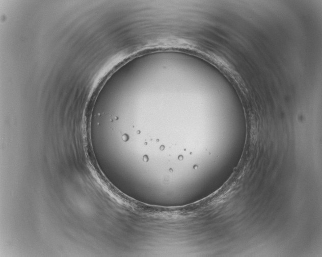 X0000055510990200508262136