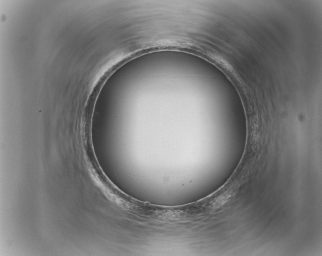 X0000055510991200508262136