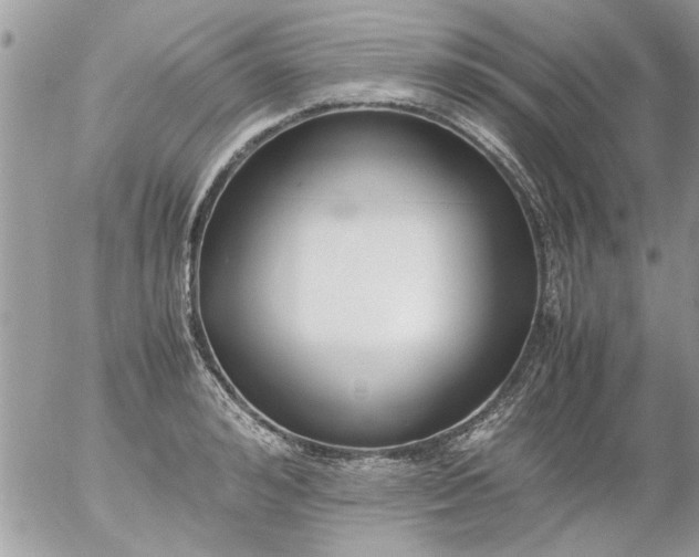 X0000055510992200508262136