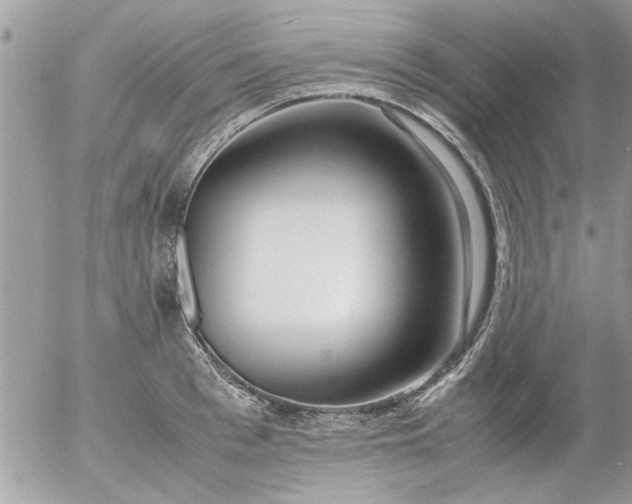 X0000055510993200508262136