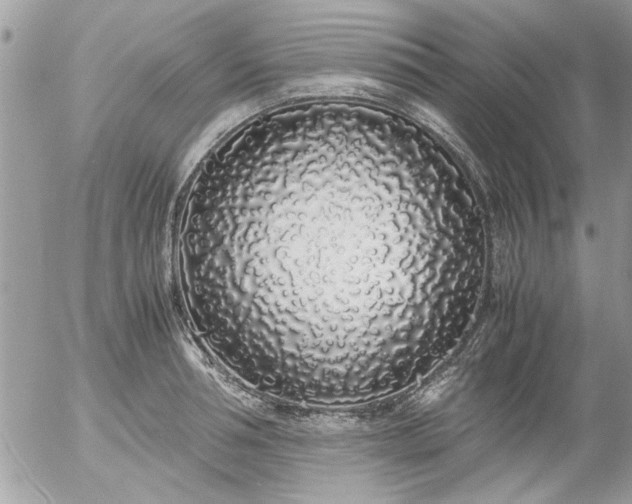 X0000055510994200508262135