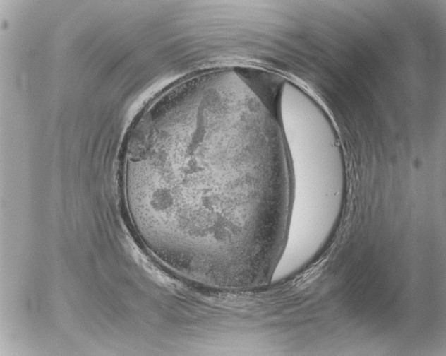 X0000055510995200508262135