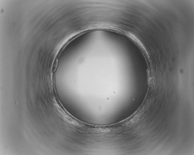 X0000055510996200508262135