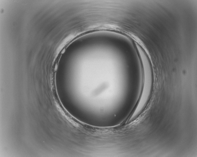 X0000055510997200508262135