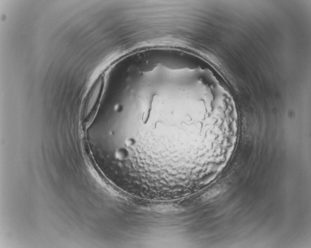 X0000055510998200508262135