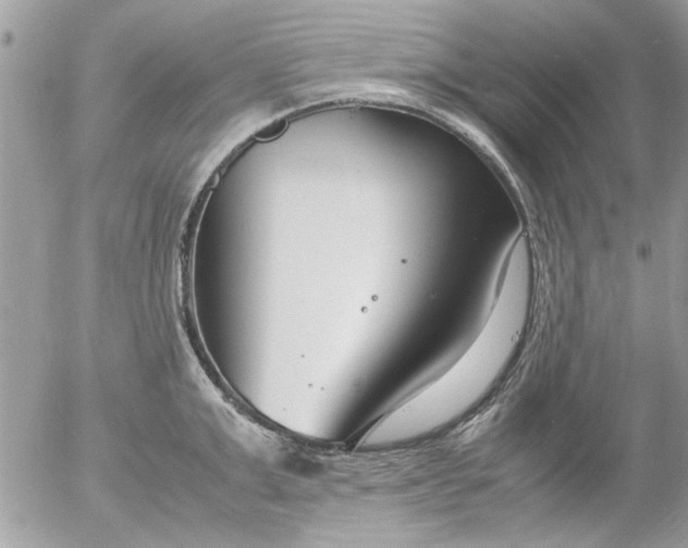 X0000055510999200508262135