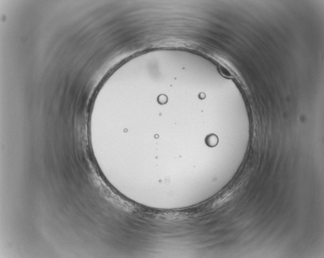 X0000055511000200508262135