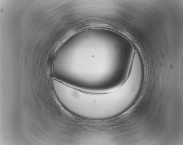 X0000055511001200508262135