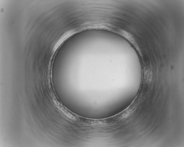 X0000055511002200508262135