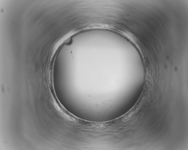 X0000055511003200508262135