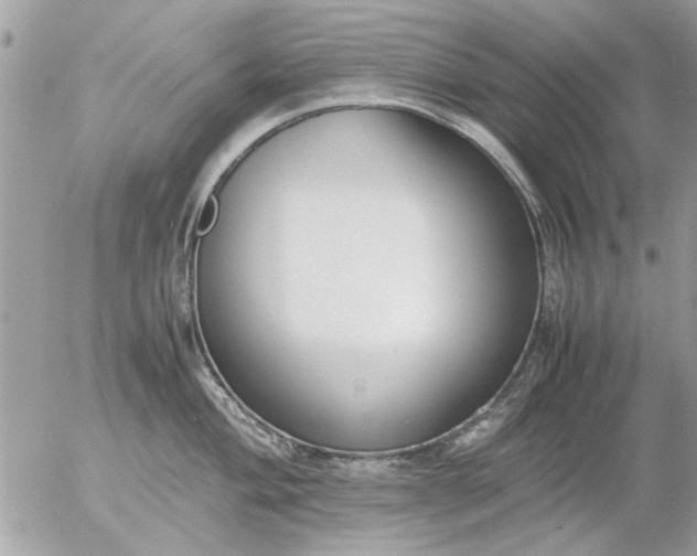 X0000055511004200508262135