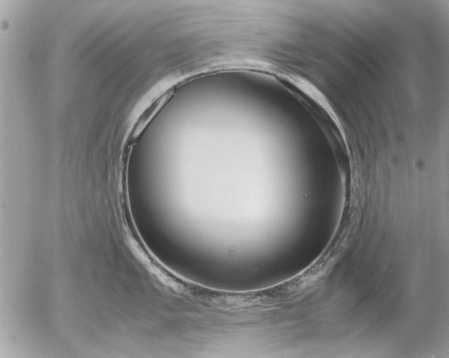 X0000055511005200508262135