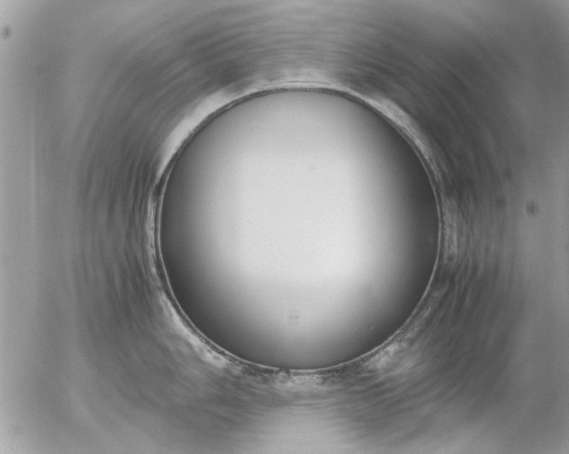 X0000055511006200508262135