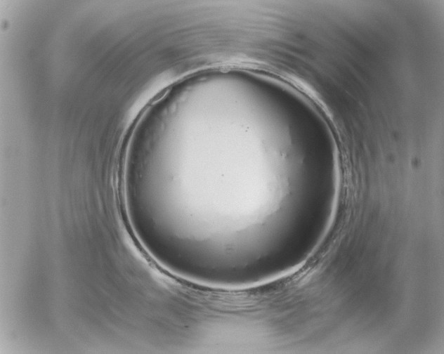 X0000055511007200508262135