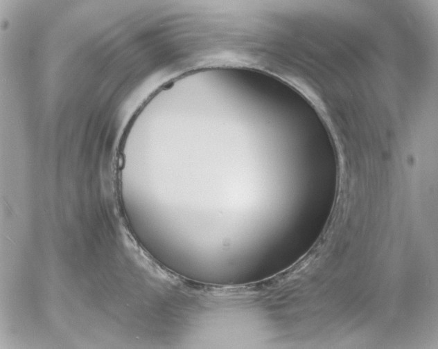 X0000055511008200508262135