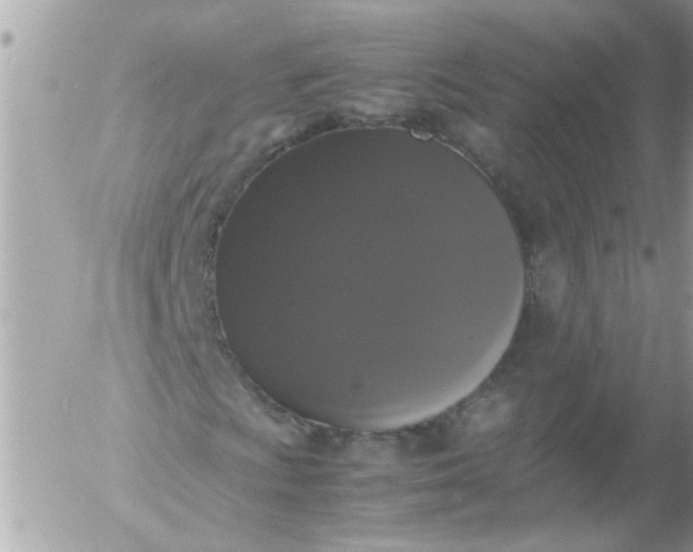 X0000055511009200508262134