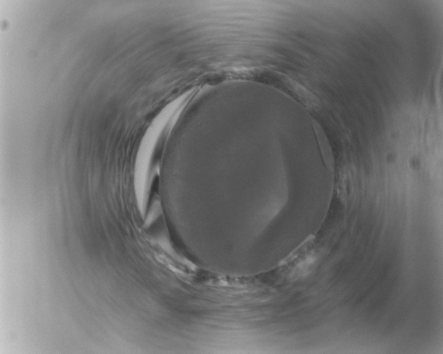 X0000055511010200508262134