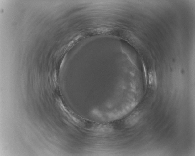 X0000055511011200508262135