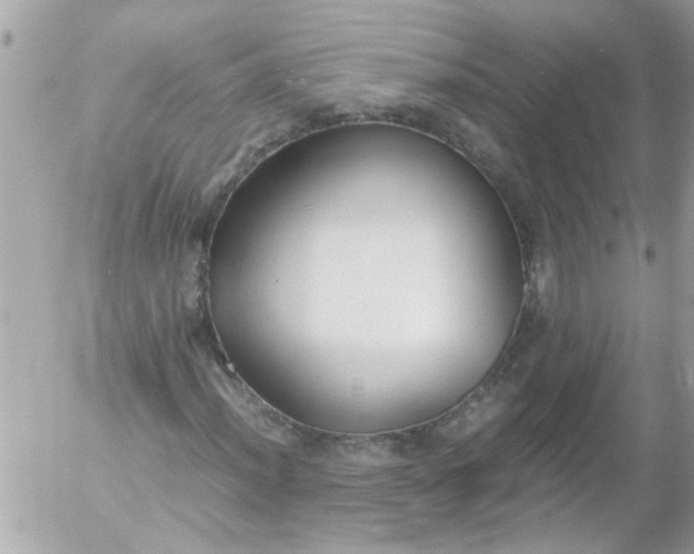 X0000055511012200508262135