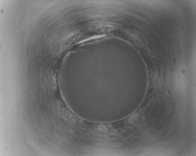 X0000055511013200508262135