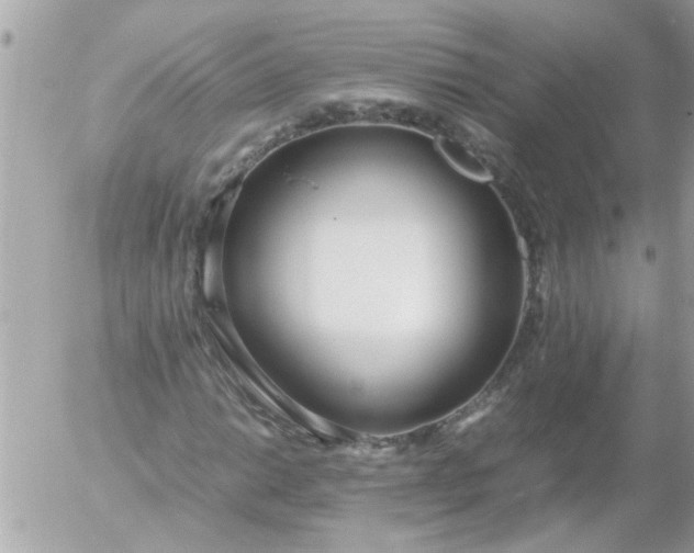 X0000055511014200508262135