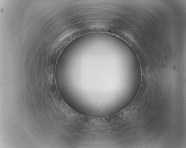 X0000055511015200508262135