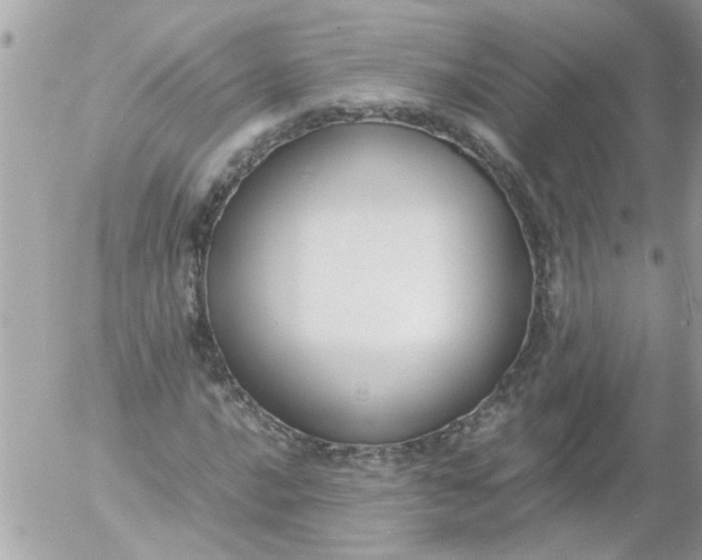 X0000055511016200508262135