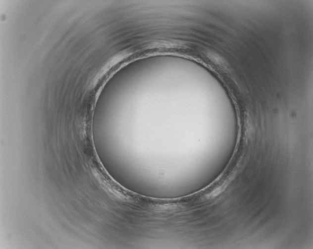 X0000055511017200508262135