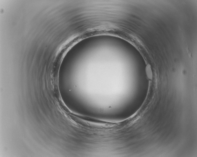 X0000055511018200508262135