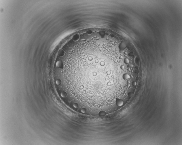 X0000055511019200508262135