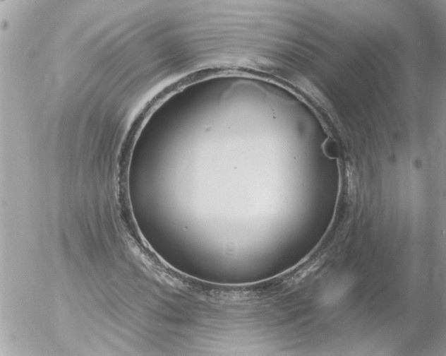 X0000055511020200508262135