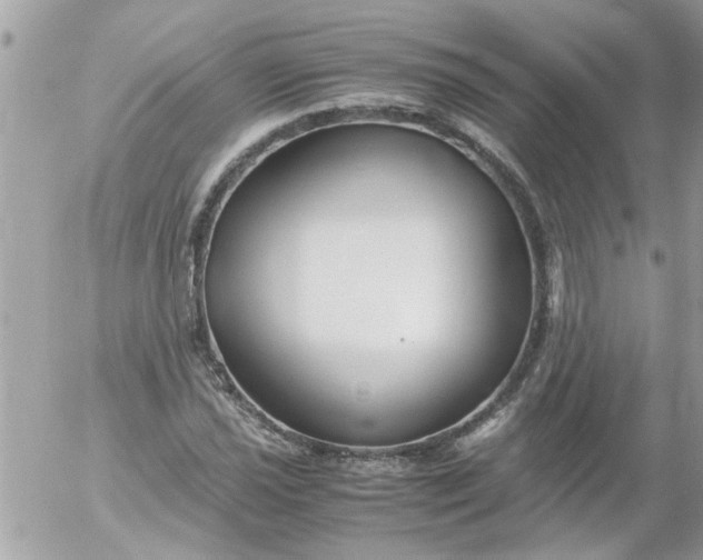 X0000055511021200508262135