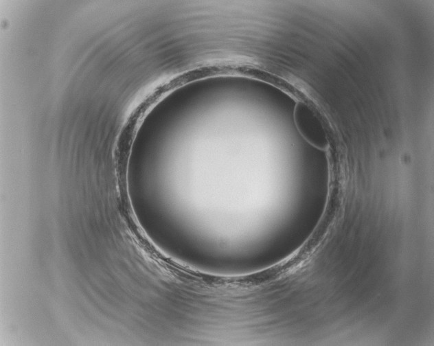 X0000055511022200508262135