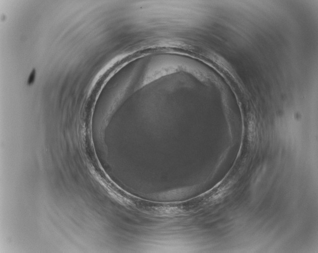 X0000055511024200508262135