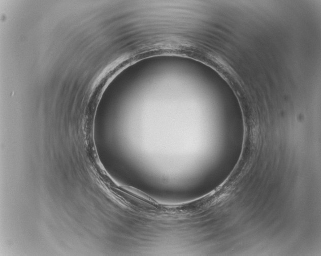 X0000055511026200508262135