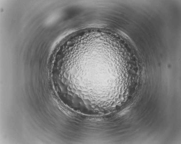 X0000055511027200508262135