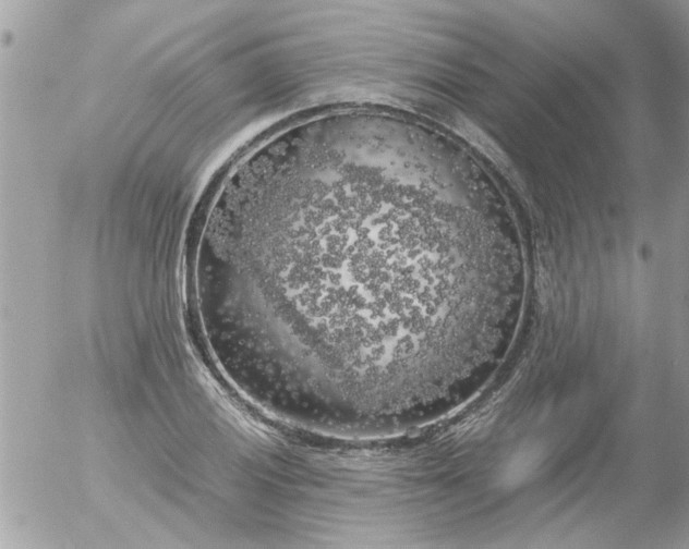 X0000055511028200508262135