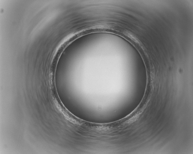 X0000055511029200508262135