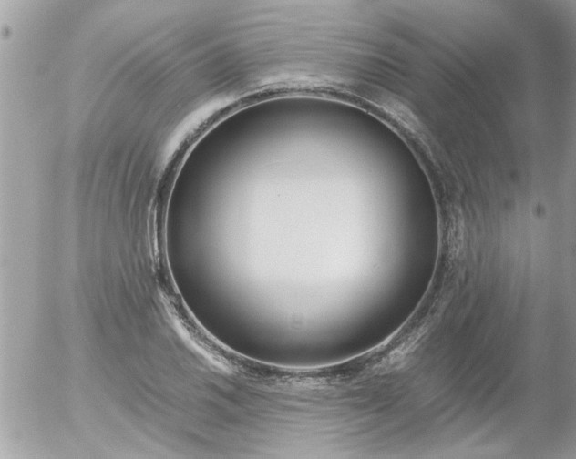 X0000055511030200508262135