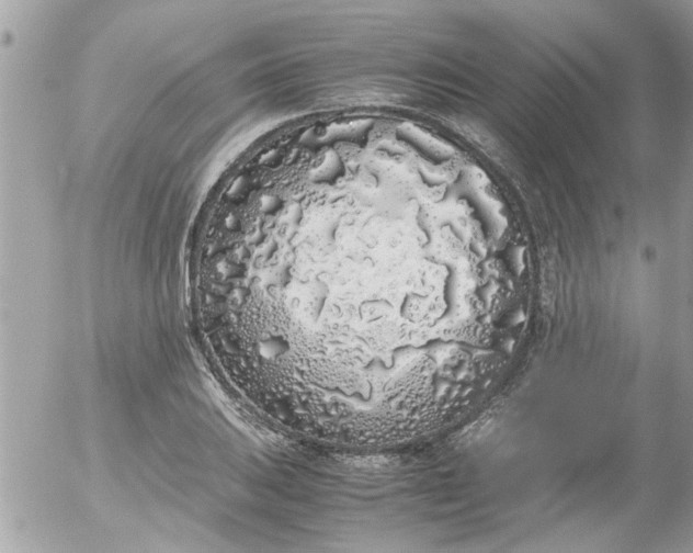 X0000055511031200508262135