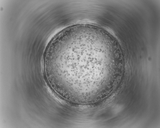 X0000055511032200508262135