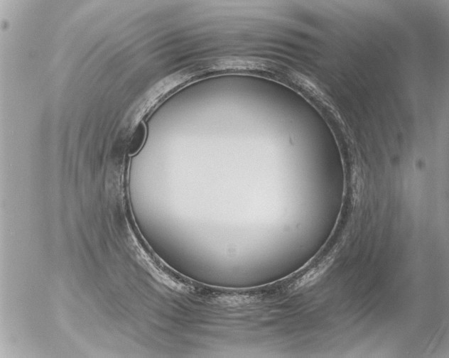 X0000055511033200508262135