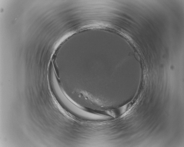 X0000055511034200508262135