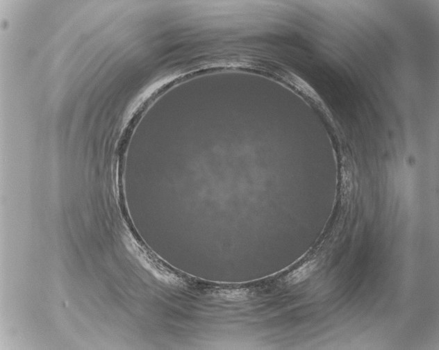 X0000055511035200508262135