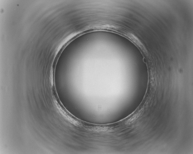 X0000055511036200508262135