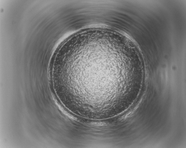 X0000055511037200508262135