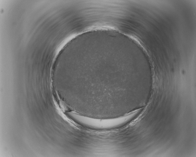 X0000055511038200508262135